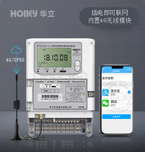 杭州华立DTZY545-G | 1级 三相四线4G无线远程物联网电表