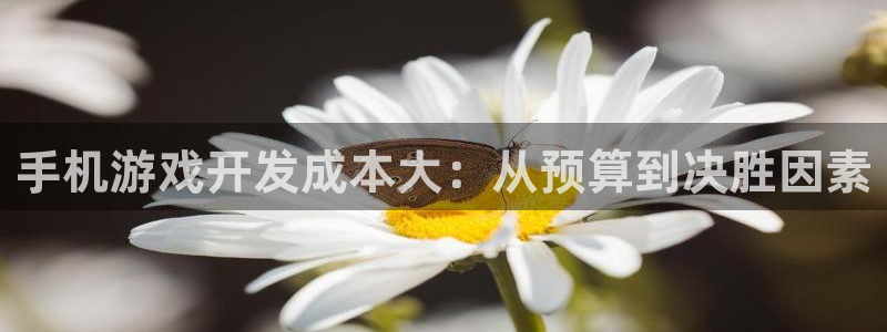 沐鸣2平台注册流程