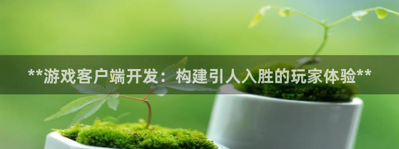沐鸣娱乐2输钱了