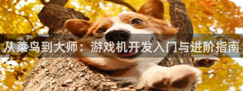 沐鸣娱乐2手机下载官网