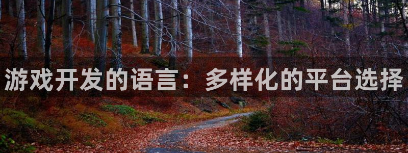 沐鸣2app官方：游戏开发的语言：多样化的平台选择