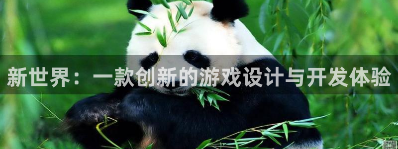 沐鸣2平台官网：新世界：一款创新的游戏设计与开发体验
