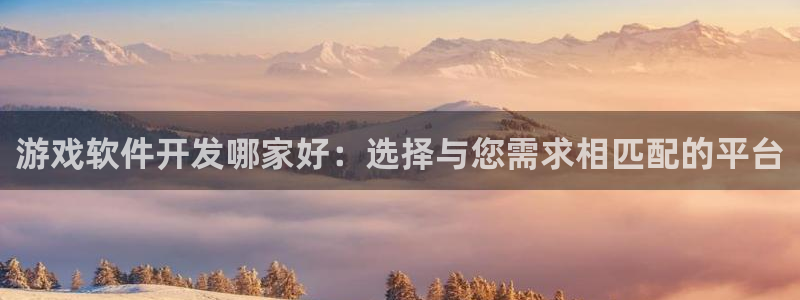 沐鸣2官网：游戏软件开发哪家好：选择与您需求相匹配的平台