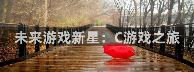沐鸣2注册说来77542：未来游戏新星：C游戏之旅
