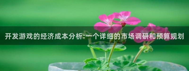沐鸣2娱乐平台登录：开发游戏的经济成本分析:一个详细的市场调研和预算规划