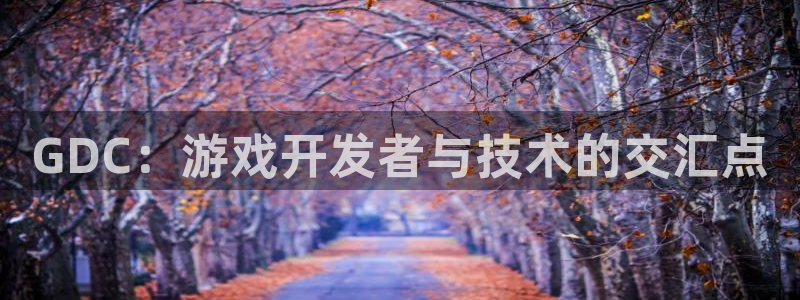 沐鸣2注册连接：GDC：游戏开发者与技术的交汇点