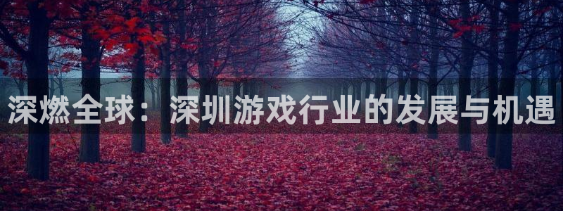 沐鸣娱乐2手机版：深燃全球：深圳游戏行业的发展与机遇