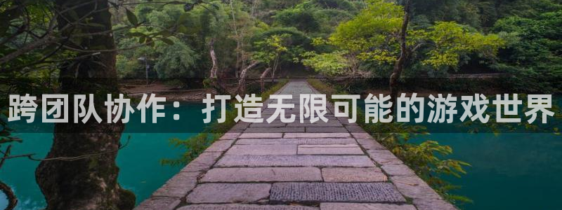 沐鸣娱乐2电脑版：跨团队协作：打造无限可能的游戏世界