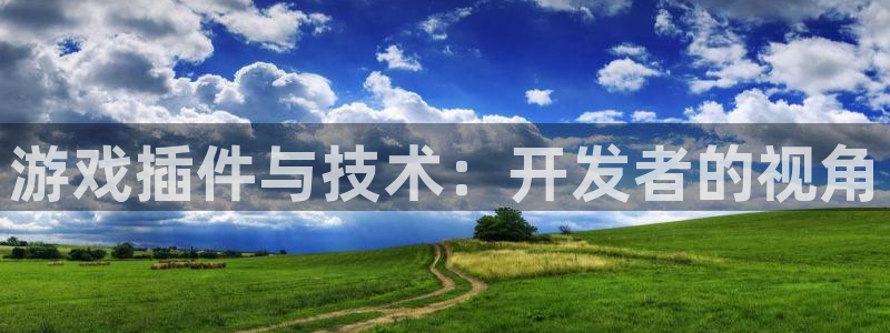 沐鸣2注册开户：游戏插件与技术：开发者的视角