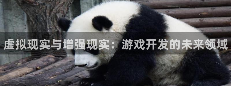 沐鸣2产7O777：虚拟现实与增强现实：游戏开发的未来领域