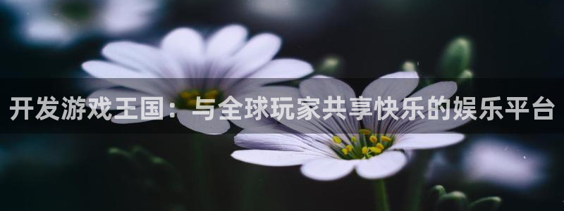 沐鸣娱乐2官网网址是多少：开发游戏王国：与全球玩家共享快乐的娱乐平台