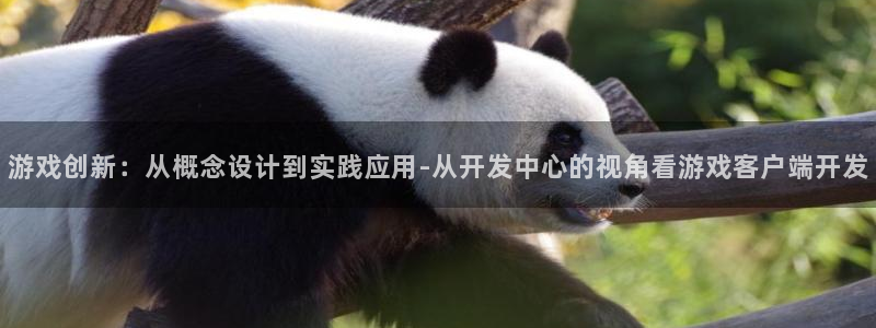 沐鸣2输钱能要回来吗：游戏创新：从概念设计到实践应用-从开发中心的视角看游戏客户端开发