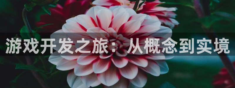 沐鸣2平台在线注册：游戏开发之旅：从概念到实境