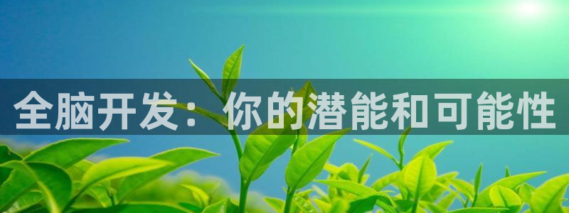 沐鸣2平台官网