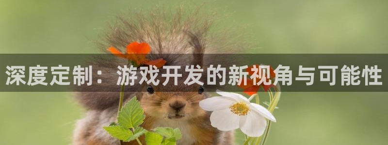 沐鸣2登陆：深度定制：游戏开发的新视角与可能性