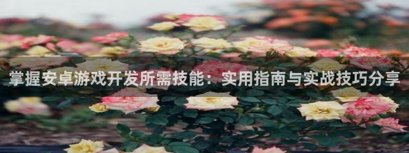 沐鸣娱乐2返点：掌握安卓游戏开发所需技能：实用指南与实战技巧分享