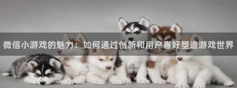 沐鸣2平台官网