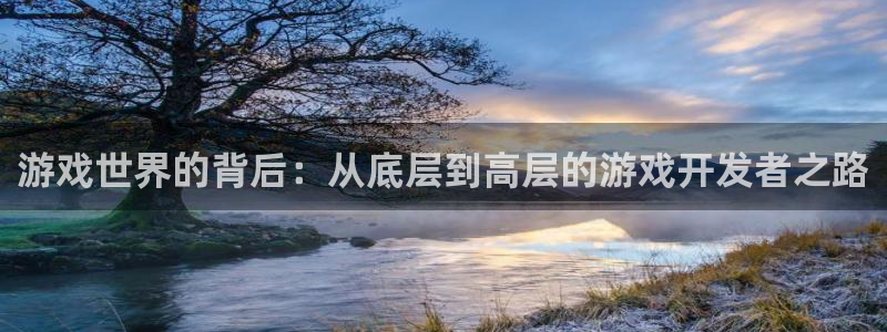 沐鸣2登陆扣27337：游戏世界的背后：从底层到高层的游戏开发者之路