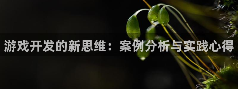 沐鸣2平台代理注册：游戏开发的新思维：案例分析与实践心得
