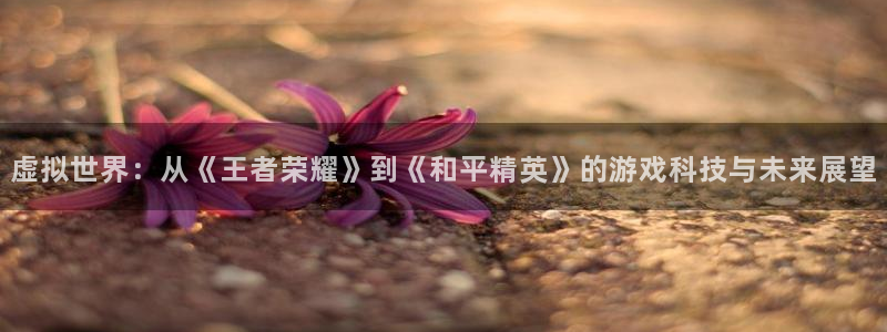 沐鸣娱乐2如何找回密码：虚拟世界：从《王者荣耀》到《和平精英》的游戏科技与未来展望