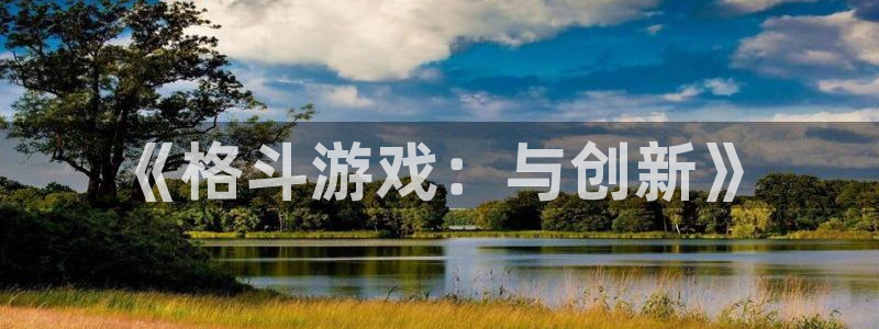 沐鸣娱乐2注册官网：《格斗游戏：与创新》
