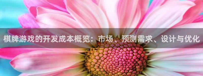 沐鸣娱乐2：棋牌游戏的开发成本概览：市场、预测需求、设计与优化