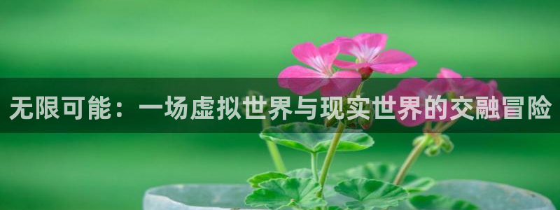 沐鸣娱乐2是正规平台么：无限可能：一场虚拟世界与现实世界的交融冒险