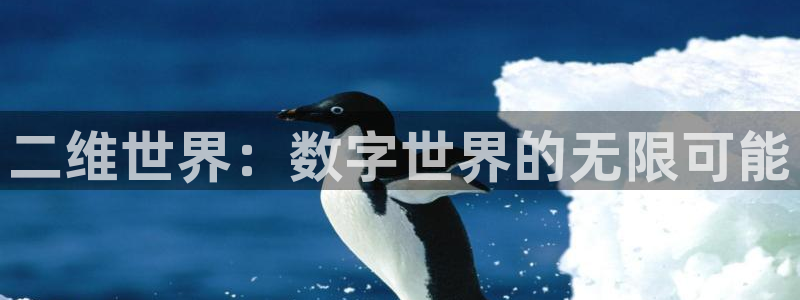 沐鸣2测速登陆：二维世界：数字世界的无限可能