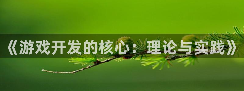 沐鸣娱乐2在线登录：《游戏开发的核心：理论与实践》