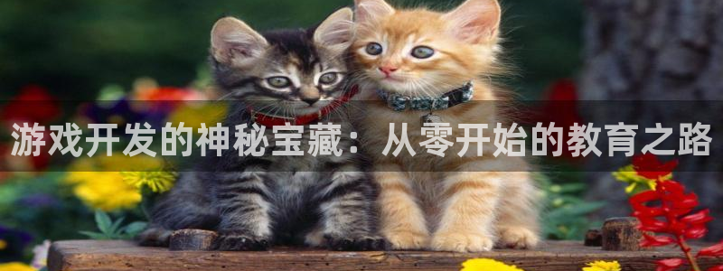 沐鸣2官网：游戏开发的神秘宝藏：从零开始的教育之路