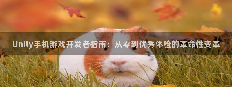 沐鸣2平台在线注册：Unity手机游戏开发者指南：从零到优秀体验的革命性变革