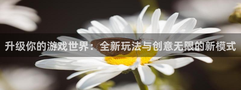 沐鸣娱乐2官网网址是多少：升级你的游戏世界：全新玩法与创意无限的新模式