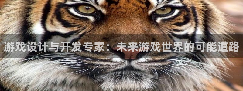 沐鸣娱乐2官方平台投诉：游戏设计与开发专家：未来游戏世界的可能道路