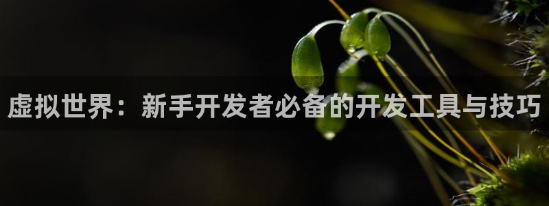 沐鸣2多少年