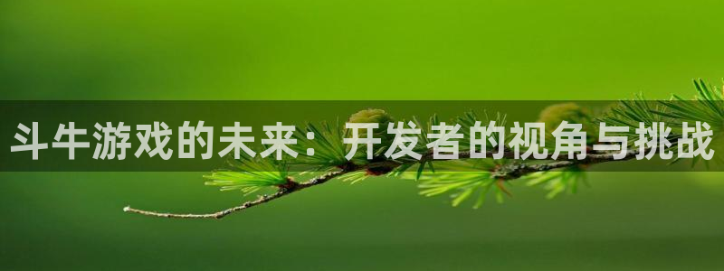 沐鸣代理22927：斗牛游戏的未来：开发者的视角与挑战
