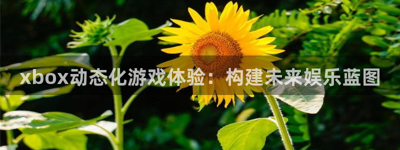沐鸣娱乐臼44262：xbox动态化游戏体验：构建未来娱乐蓝图