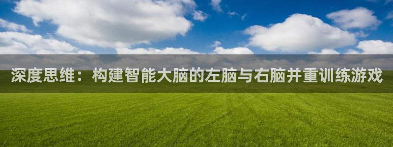 沐鸣2代理官网：深度思维：构建智能大脑的左脑与右脑并重训练游戏