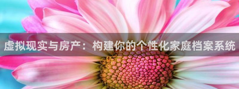 沐鸣2平台线路：虚拟现实与房产：构建你的个性化家庭档案系统